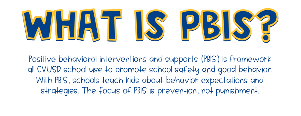 What is PBIS